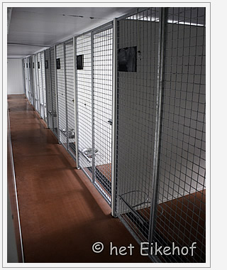 Bekritiseren kofferbak vriendelijke groet Het Eikehof : Hondenfokkerij en dierenpension